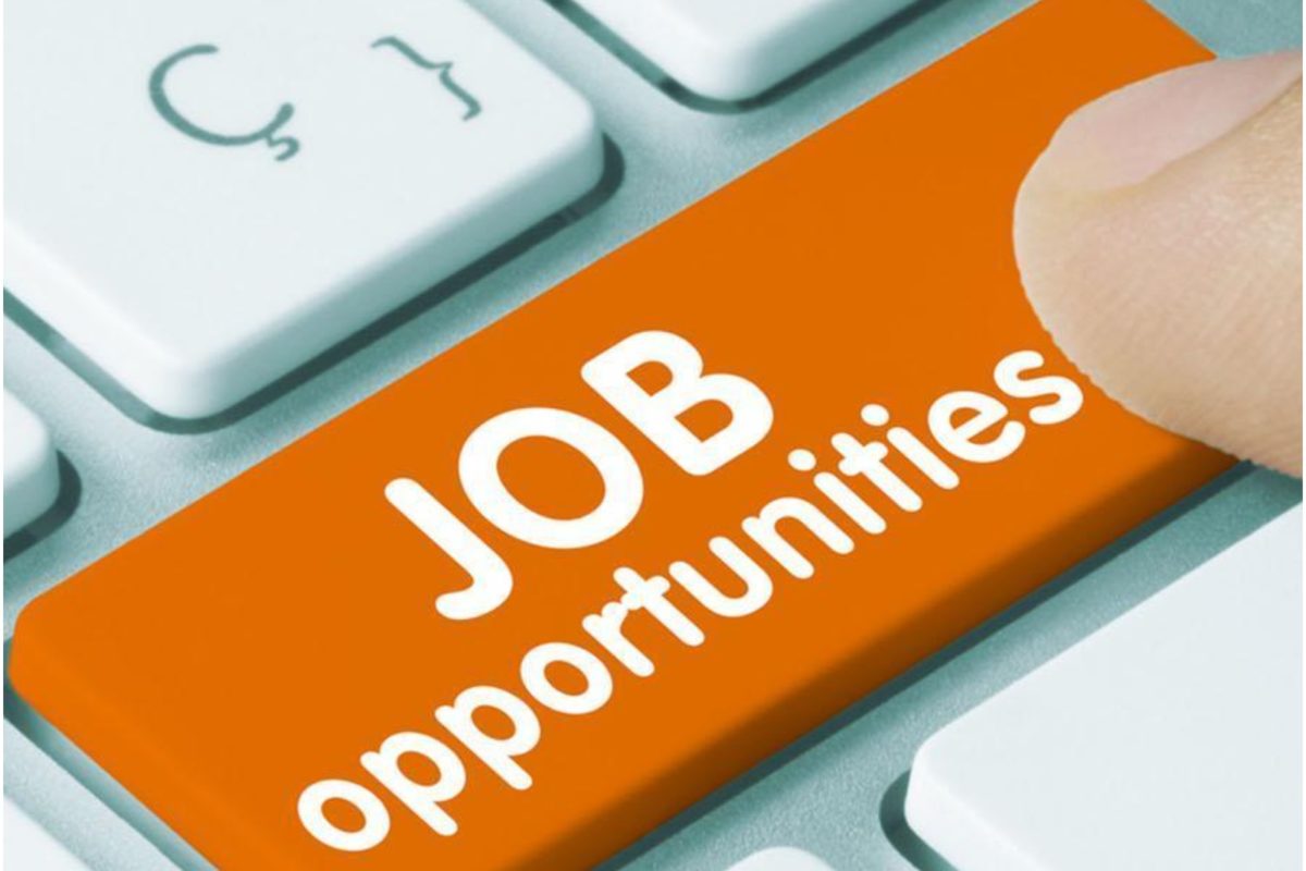 Read more about the article BOB Recruitment 2024: Job Opportunity in Bank of Baroda; Know the application last date and application process